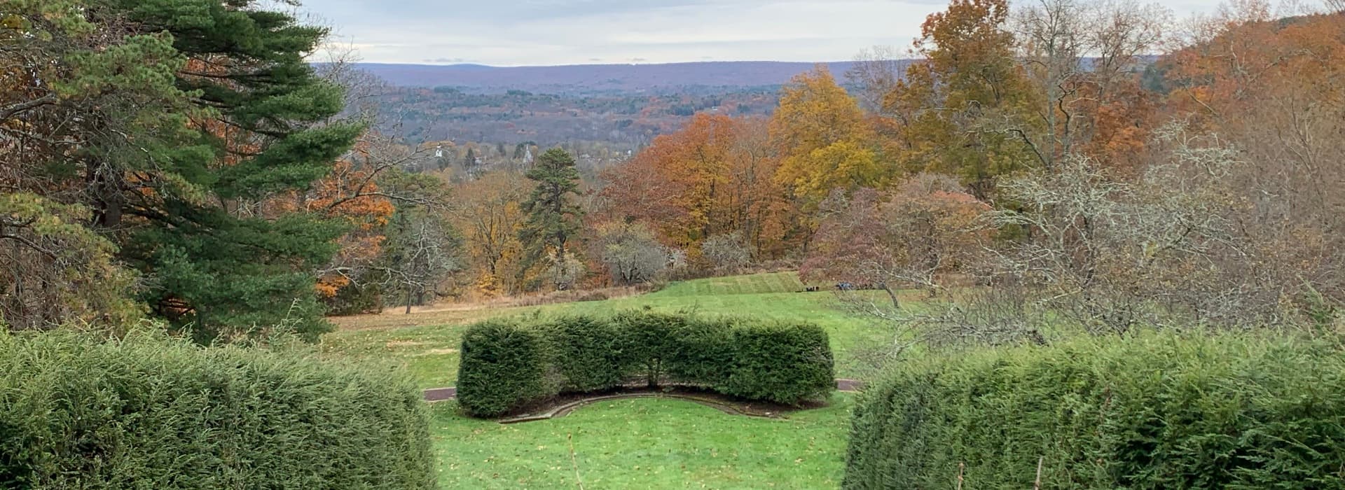 A sweeping view of a hillside with autumn trees and green hedges.