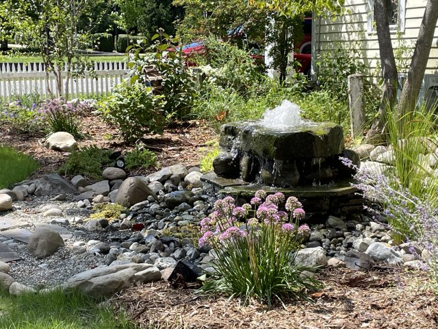 Garden with small water feature in the center surrounded by rocks.